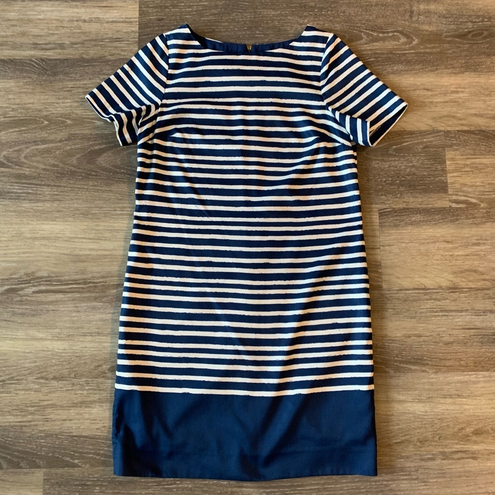 The Limited Blue and White Striped Dress